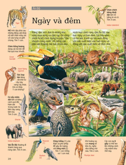 Thử Tài Tìm Kiếm - Động Vật