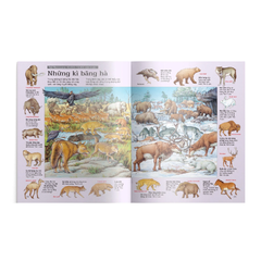 Thử Tài Tìm Kiếm - Khủng Long - Usborne