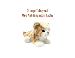 Thú nhồi bông BE MY - Orange tabby cat 8"