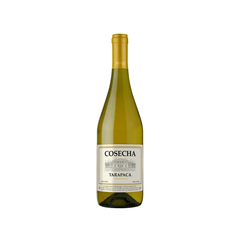 Tarapaca Cosecha Chardonnay