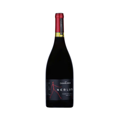 Casablanca Neblus Syrah