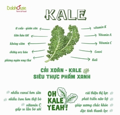 Bột Cải Xoăn (Cải KALE) Dalahouse Hộp 60g