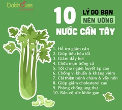 Bột Cần Tây Hữu Cơ Nguyên Chất Dalahouse Hộp 60g
