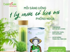 Bột Cỏ Lúa Mì Hữu Cơ Tươi Dalahouse Lon 120g