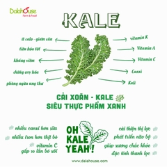 Bột Cải Xoăn (Cải KALE) Dalahouse Lon 120g