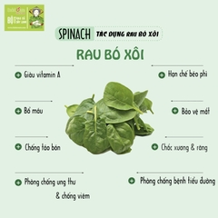 Bột Rau Bó Xôi Tươi Dalahouse Hộp 60g