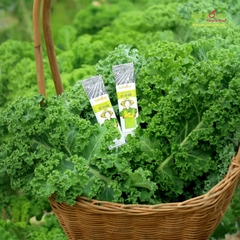 Bột Rau Củ Detox 7 Vị 21 Gói Dalahouse