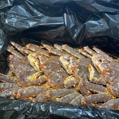Cua KingCrab Tươi Sống