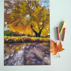 Màu sáp dầu Pentel Oil Pastels, hộp 36 bút sáp màu dầu Pentel GHTP-36 đẹp cho học sinh