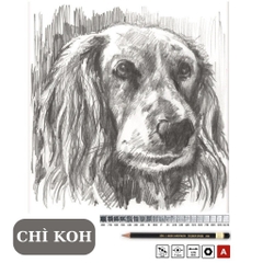 Bút chì Tiệp KOH 1900 thân đen, viết chì gỗ độ chì HB/ 2B/ 3B/ 4B/ 5B/ 6B/ 7B/ 8B