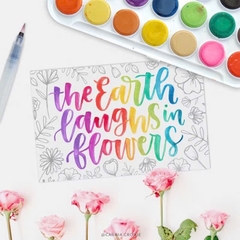 Màu nước dạng nén SIMBALION Water Color Cake, bộ màu nước 12/ 16/ 28/ 36 màu