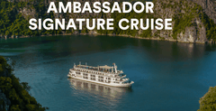 Ambassador Overnight Cruise