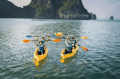 Tropical Cruise
