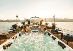 Tropical Cruise