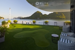 Elite Of The Seas