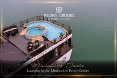 Peony Cruise