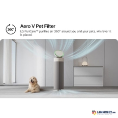 Máy lọc không khí LG PuriCare Aero Booster màu be AS55GGSY0.ABAE