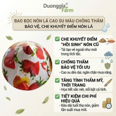 Bao bọc nón lá chống thấm