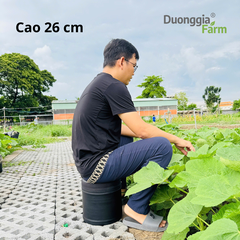 Ghế Làm nông