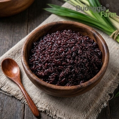 GẠO ST TÍM CÁT TIÊN HỮU CƠ