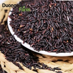 GẠO ST TÍM CÁT TIÊN HỮU CƠ