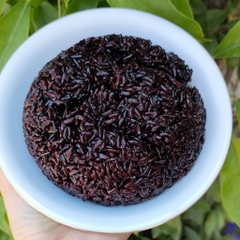 GẠO HỮU CƠ CÁT TIÊN ST TÍM