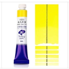[P1 vàng cam] Màu nước Paul Rubens tuýp 18ml