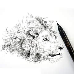 Bút lông siêu tỉa Kuretake Extra Fine Brush Pen