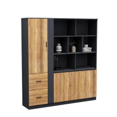 Tủ Giám Đốc Cao Cấp Fergus FGTGD052