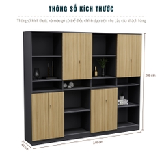 Tủ Giám Đốc Cao Cấp Fergus FGTGD054