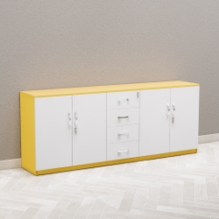 Tủ Hồ Sơ Thấp Cao Cấp Fergus FGTHST17