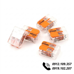 Đầu Nối Dây Điện Wago 221-412 (2 Dây, 32A)