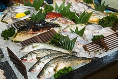 Kho cấp đông