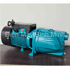 Máy Bơm Nước Con Lợn Rymaru 750W RY10M