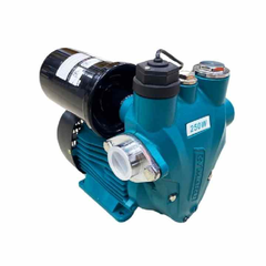 Máy Bơm Tăng Áp Tự Động Rymaru 250W RY-250S
