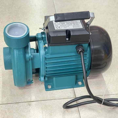 Máy Bơm Nước Ly Tâm Rymaru 750W RY-DK750