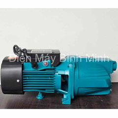 Máy Bơm Nước Con Lợn Rymaru 750W RY10M