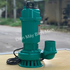 Máy Bơm Chìm Nước Sạch Rymaru 1500W RY1500B