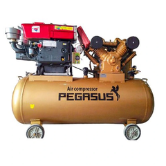 Máy Nén Khí Đầu Nổ Chạy Dầu 10HP 330L Pegasus TM-V-1.05/12.5-330L