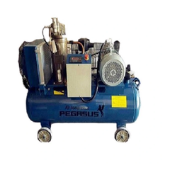 Máy Nén Khí Trục Vít 7.5Kw Pegasus TMTV-10A
