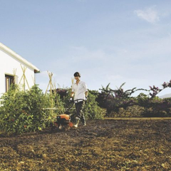 Máy Xới Đất Chạy Xăng Husqvarna TF 544