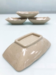 CHÉN PHÍP 3.5 NÂU ĐÁ