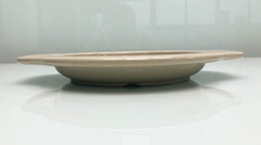 ĐĨA BÒ BÍT TẾT NÂU ĐÁ