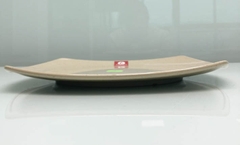 ĐĨA PHÍP NÂU ĐÁ