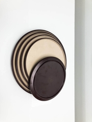 ĐĨA PHÍP NÂU TRÒN