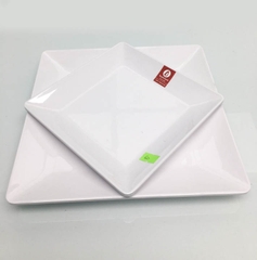 ĐĨA VUÔNG PHÍP TRẮNG DV