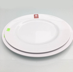 ĐĨA TRÒN PHÍP TRẮNG PV