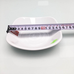 ĐĨA SÂU 6 PHÍP TRẮNG