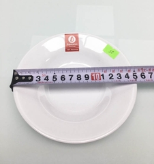 ĐĨA SÂU PHÍP TRẮNG PV180-6