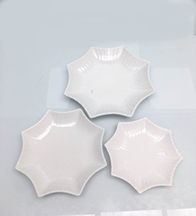 ĐĨA SỨ SAO ĐẸP SANG TRỌNG